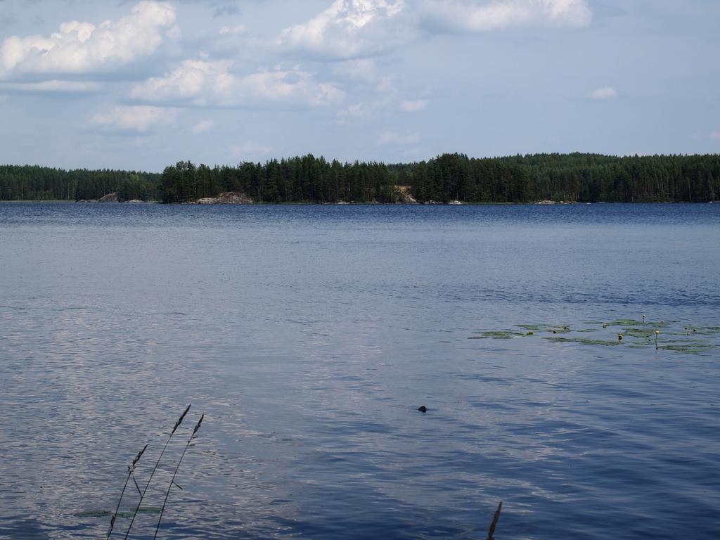 Kuoreksenniemi Villas & Lakehouse プーマラ エクステリア 写真