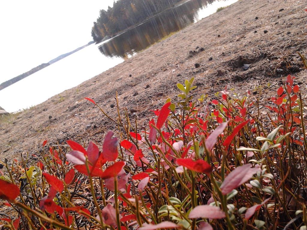 Kuoreksenniemi Villas & Lakehouse プーマラ エクステリア 写真